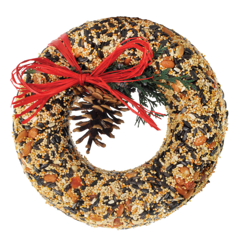 Wild Fest Bird Wreath