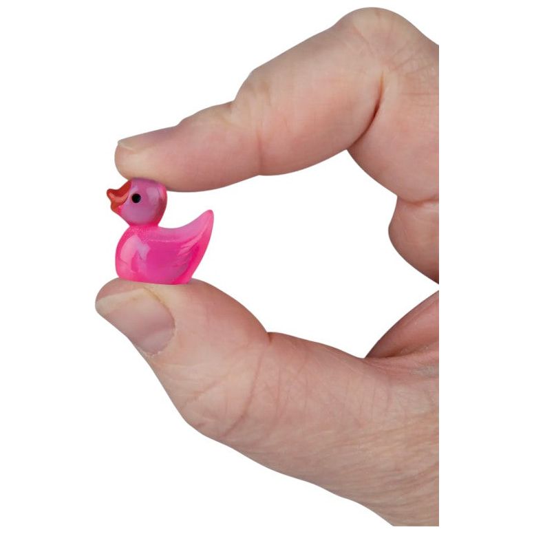 Teeny Tiny Ducks