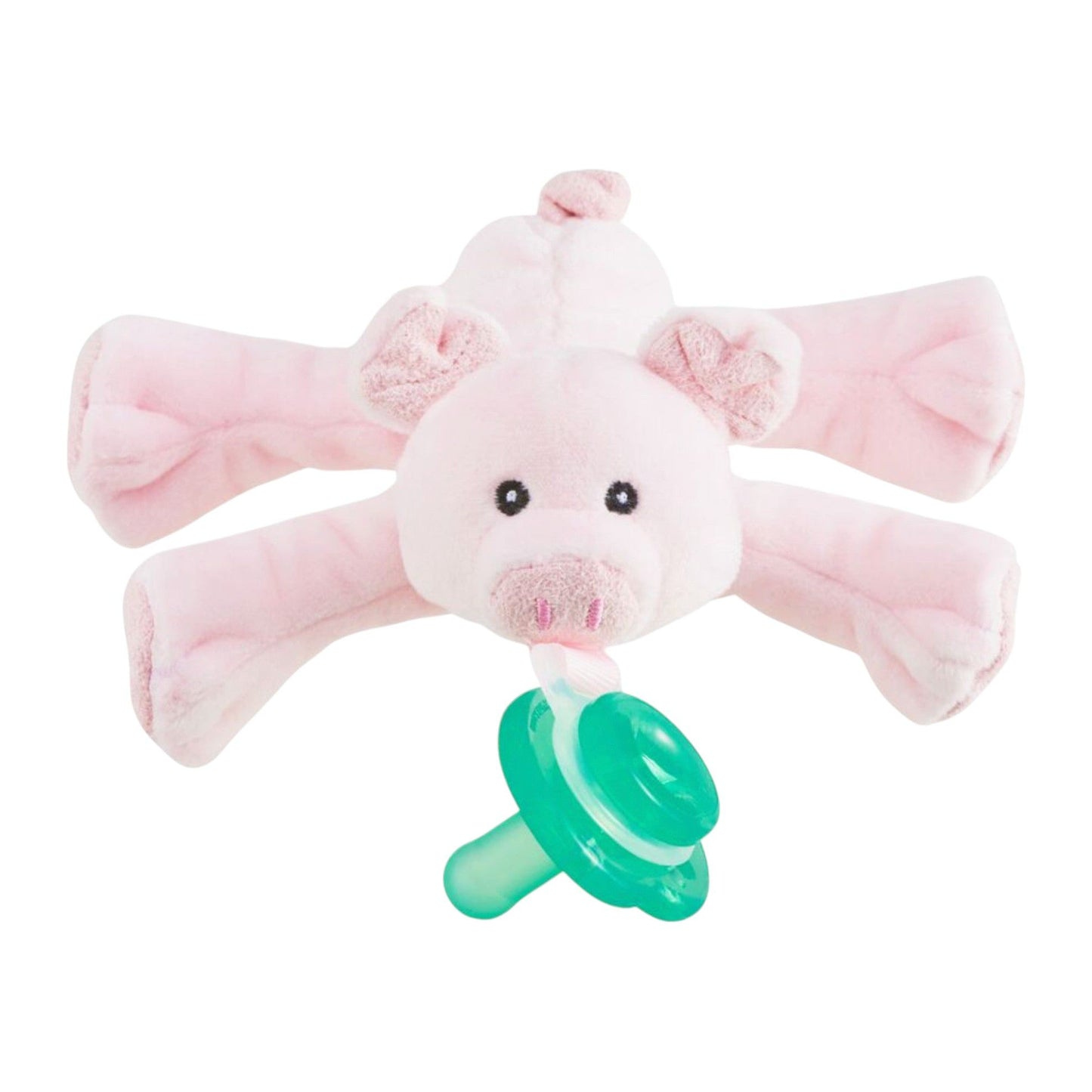 Pig Paci Buddie
