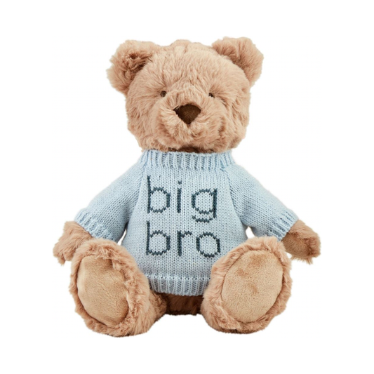 Big Bro Plush Bear