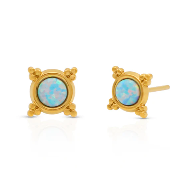 Opal Compass Earrings