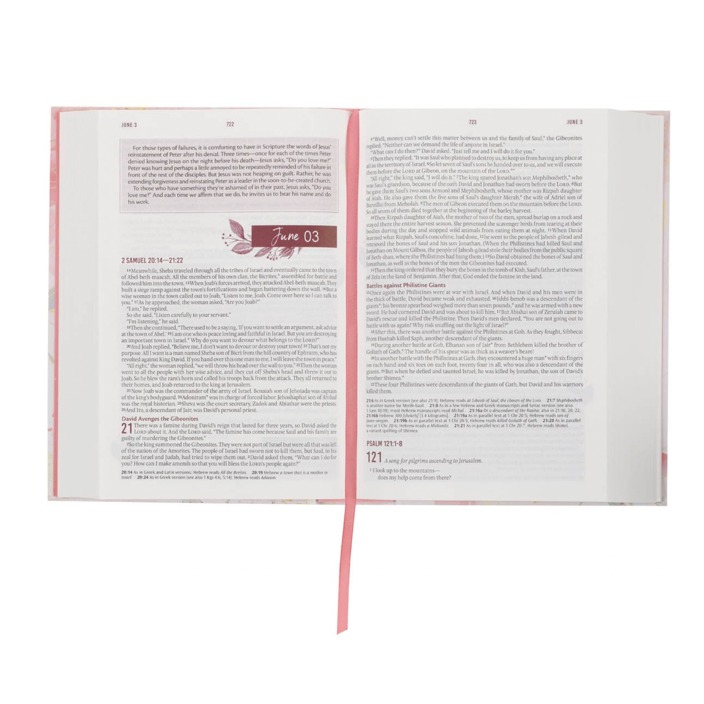 Pink Blossoms: Everyday Devotional Bible for Women