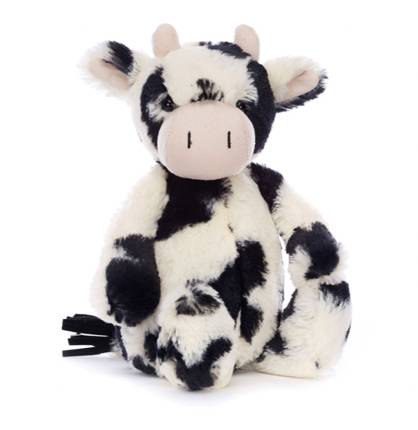 Bashful Calf