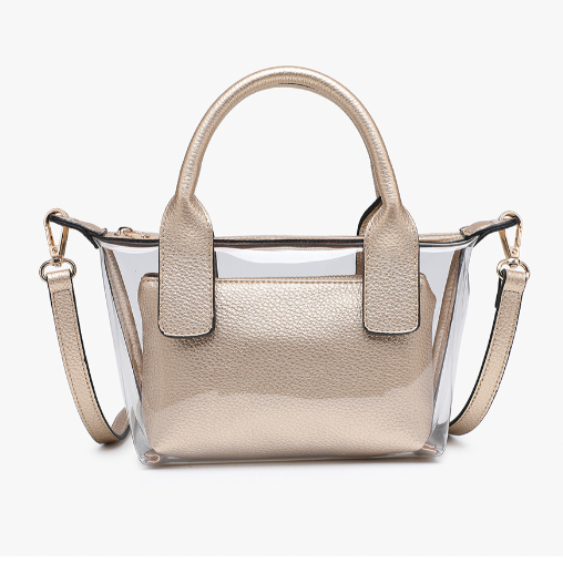 Amora Clear Bag - Gold