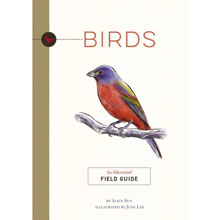 Birds: A Pocket Guide