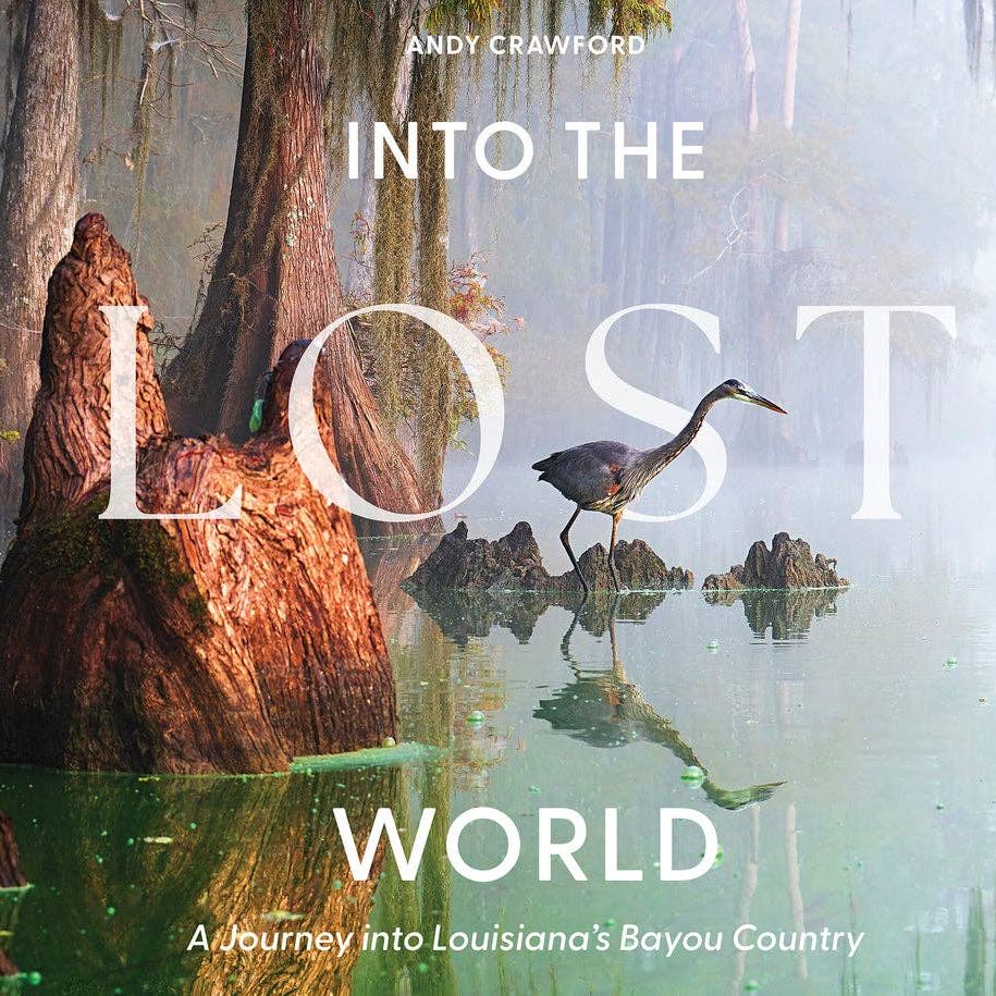 Into the Lost World : A Journey into Louisiana’s Bayou Country