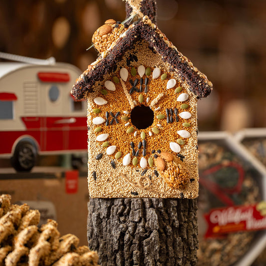 Hickory Dickory Clock House