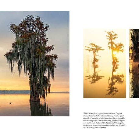 Into the Lost World : A Journey into Louisiana’s Bayou Country