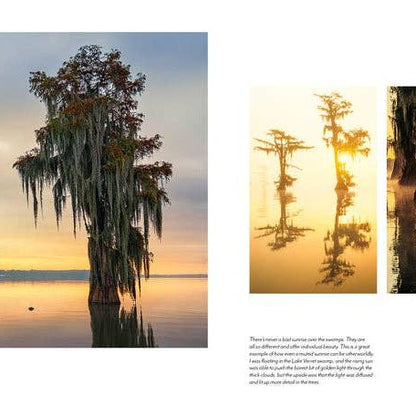 Into the Lost World : A Journey into Louisiana’s Bayou Country
