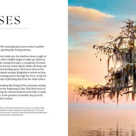 Into the Lost World : A Journey into Louisiana’s Bayou Country