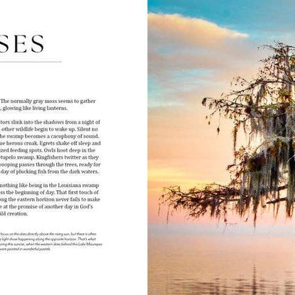 Into the Lost World : A Journey into Louisiana’s Bayou Country