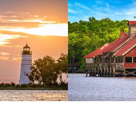 Into the Lost World : A Journey into Louisiana’s Bayou Country