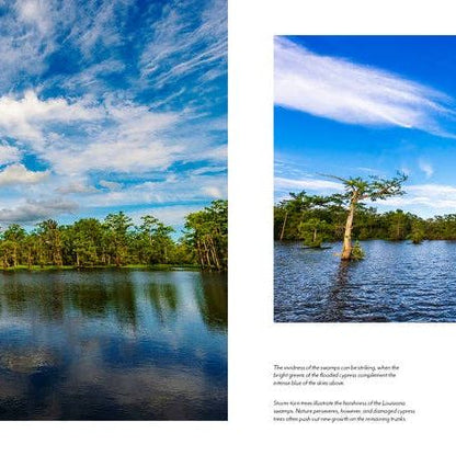Into the Lost World : A Journey into Louisiana’s Bayou Country