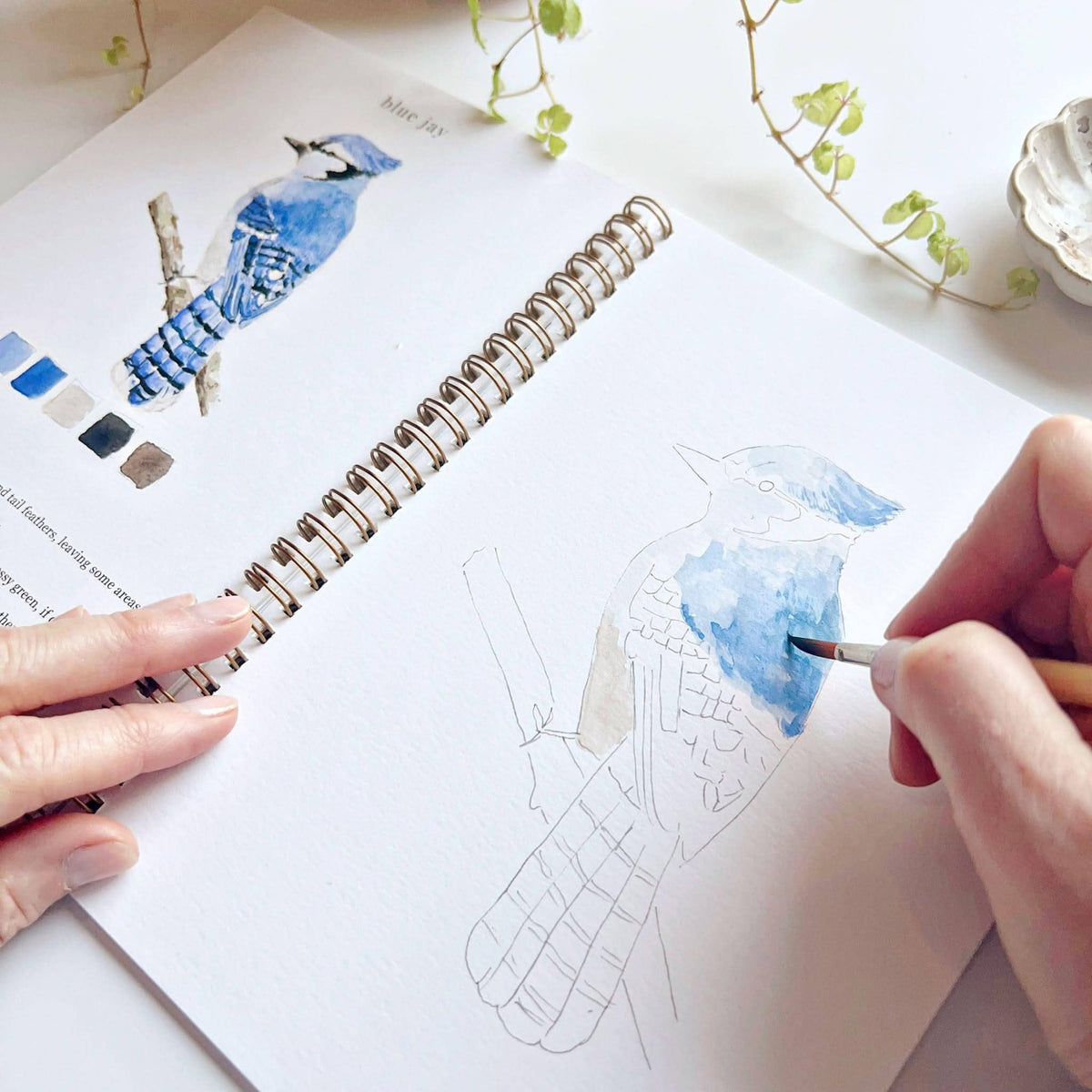 Birds - Watercolor Book w/ Paints