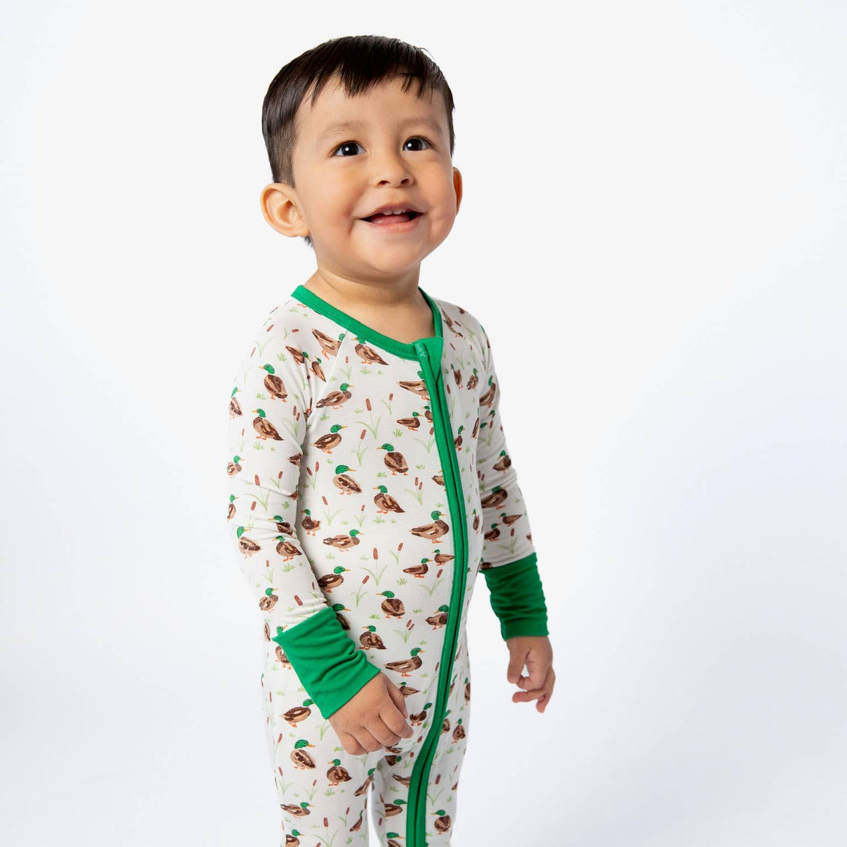 Mallard Drake Zippy: