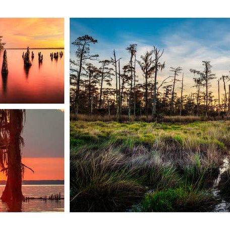 Into the Lost World : A Journey into Louisiana’s Bayou Country