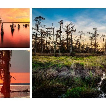 Into the Lost World : A Journey into Louisiana’s Bayou Country