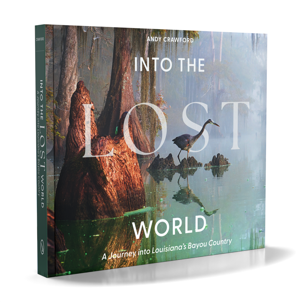 Into the Lost World : A Journey into Louisiana’s Bayou Country