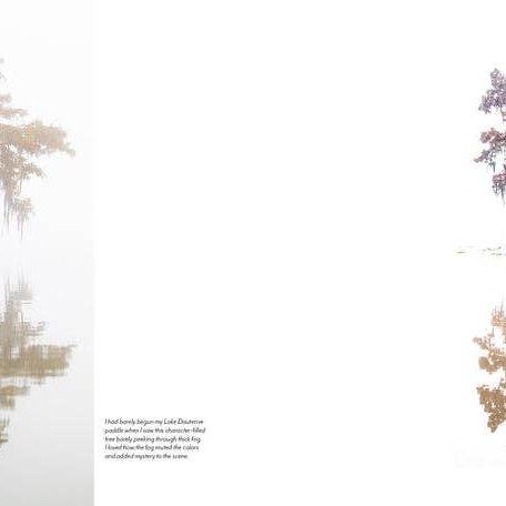 Into the Lost World : A Journey into Louisiana’s Bayou Country