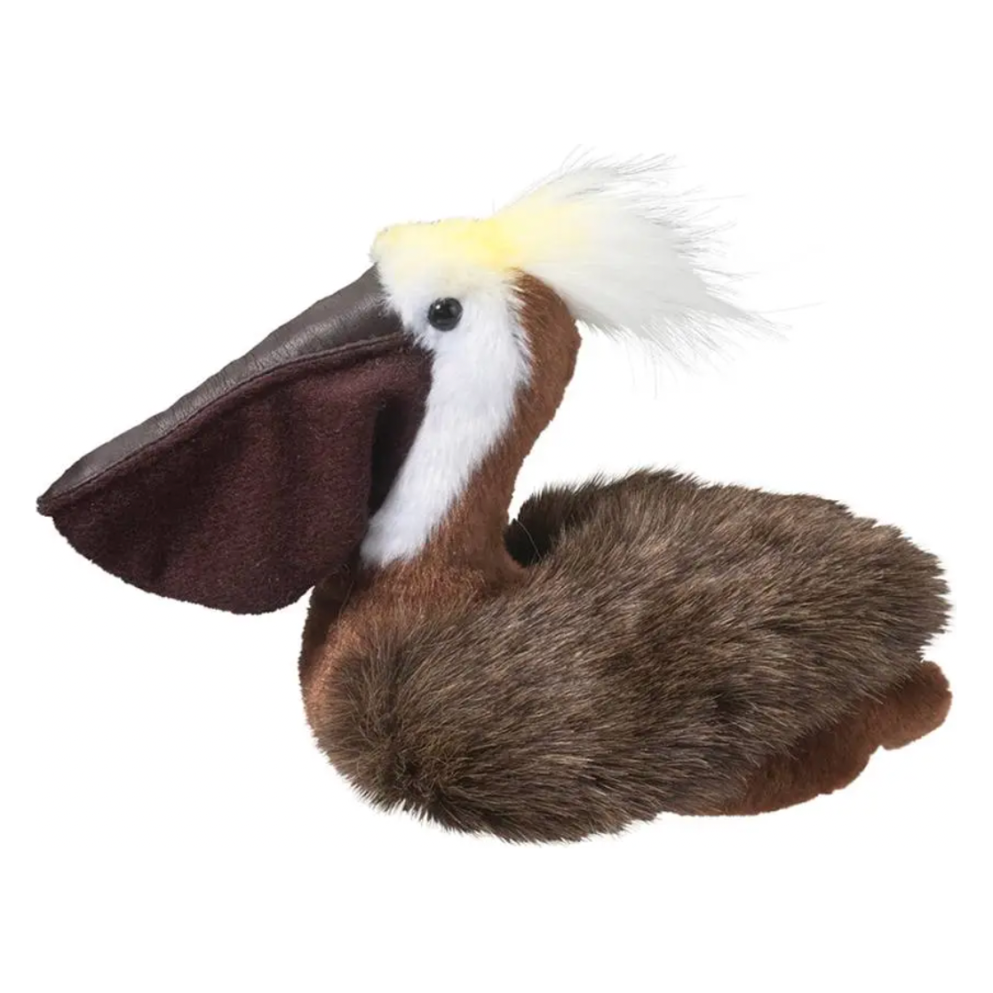 Beachy Pelican