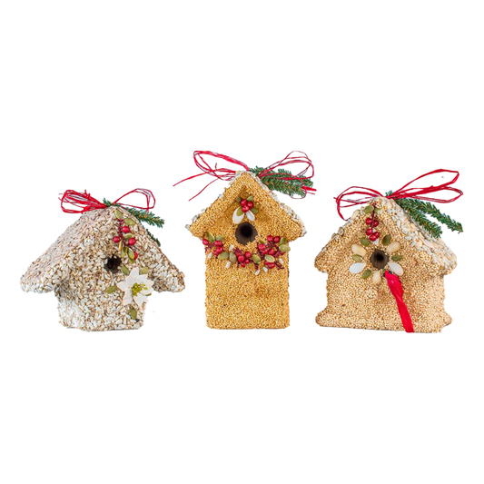 Poinsettia Cottage: