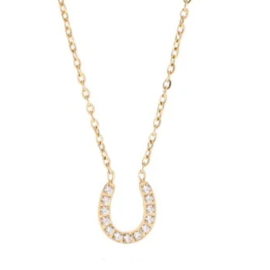 Horseshoe Necklace