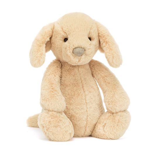 Bashful Luxe Puppy Orlando