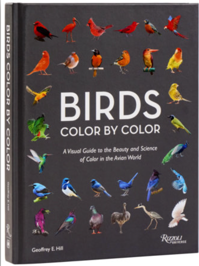 Birds Color by Color