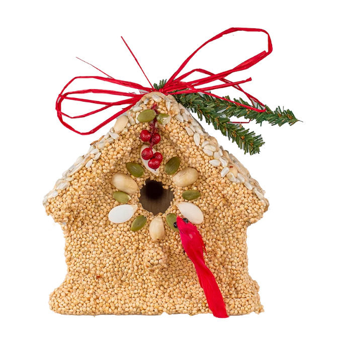 Poinsettia Cottage: