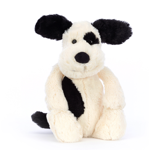 Bashful Black + White Puppy