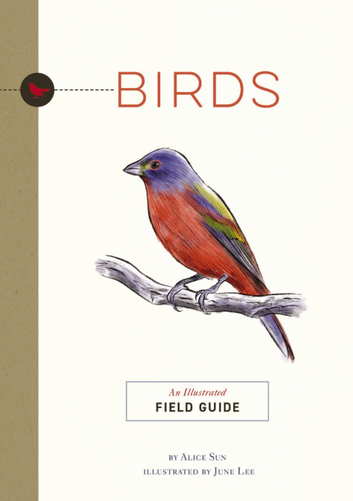 Birds: A Pocket Guide