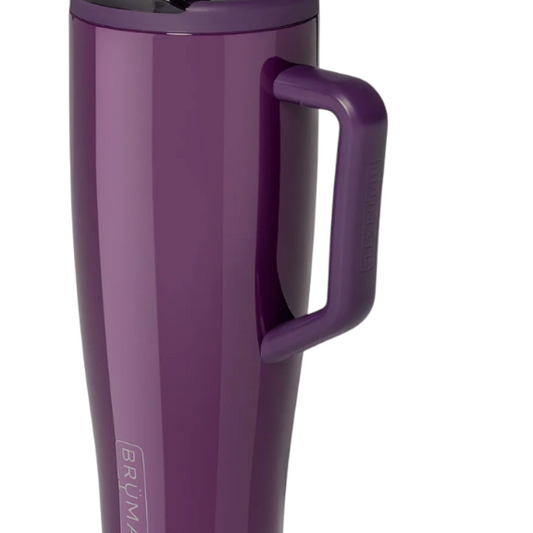 Era Flip 40oz - Plum