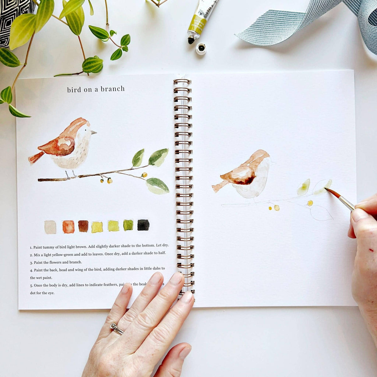 Animals - Watercolor Book w/ Paints
