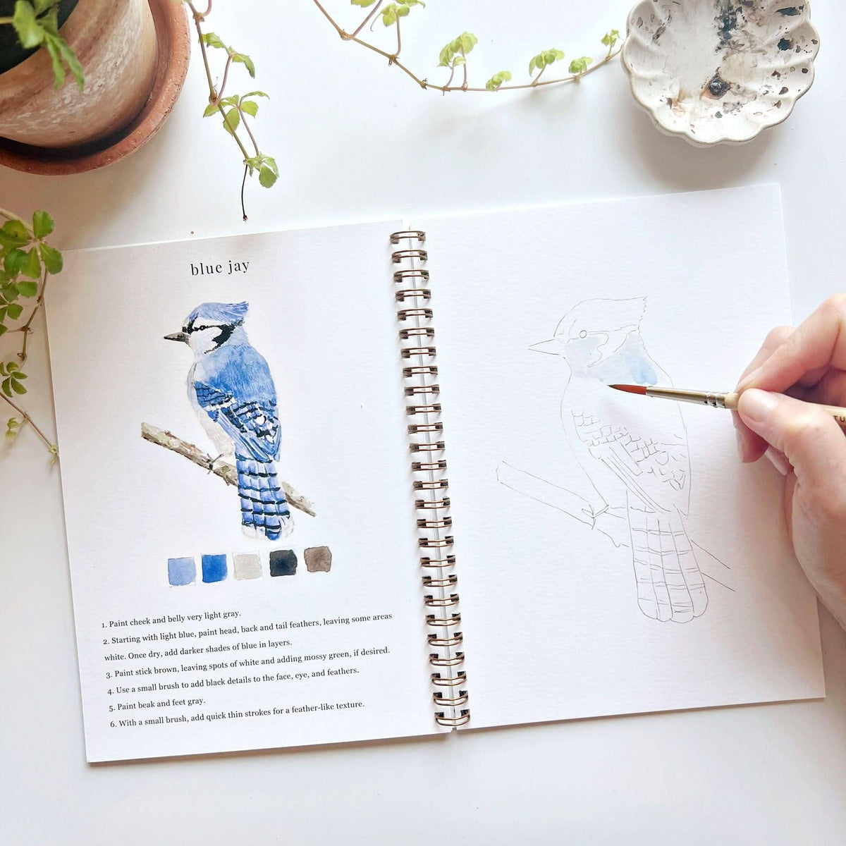 Birds - Watercolor Book w/ Paints