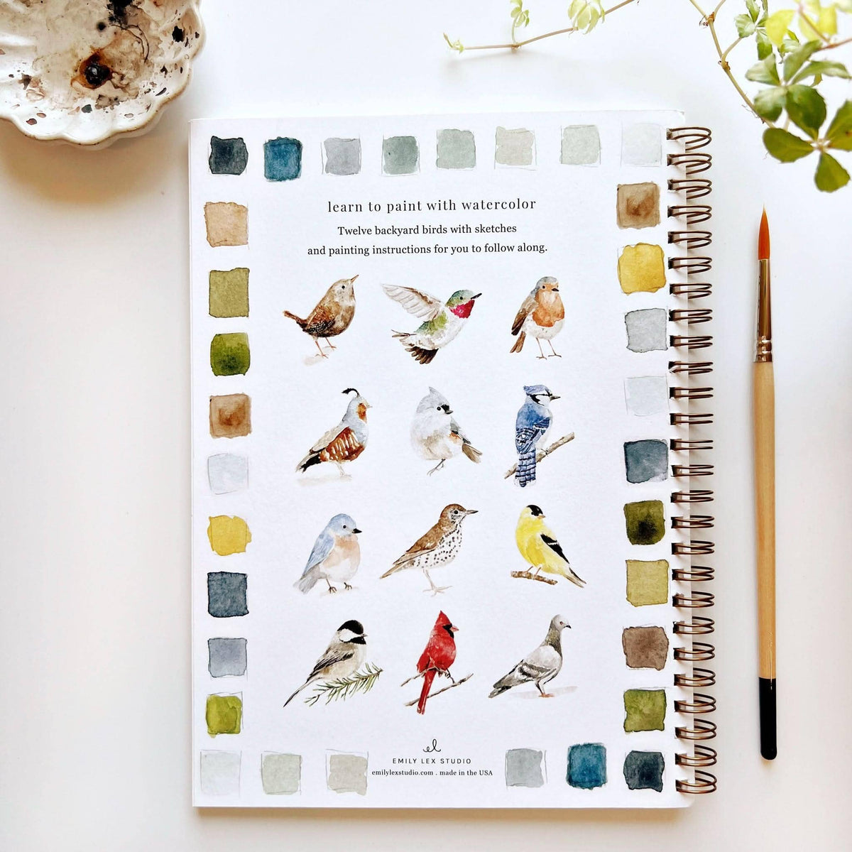 Birds - Watercolor Book w/ Paints