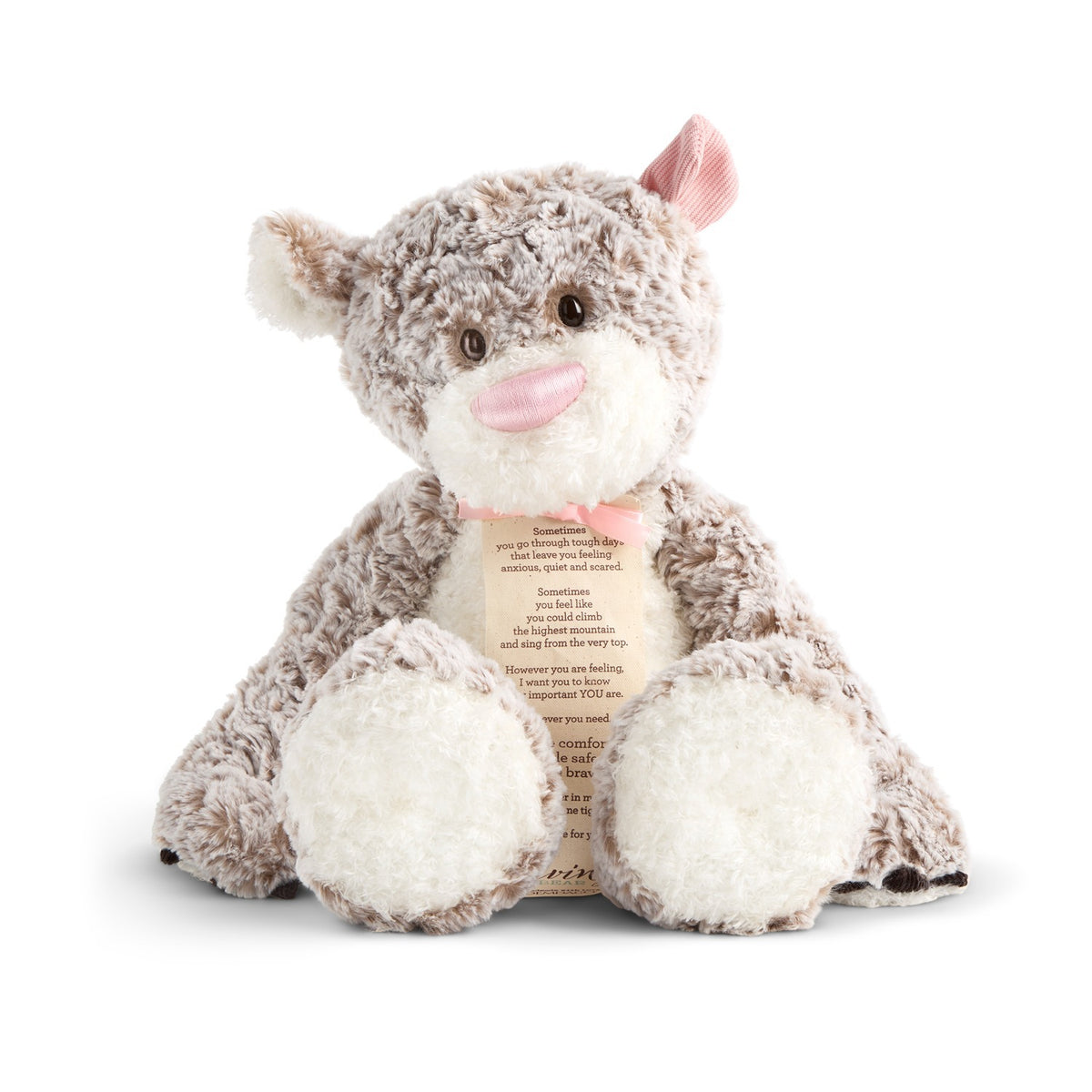 Pink Giving Bear