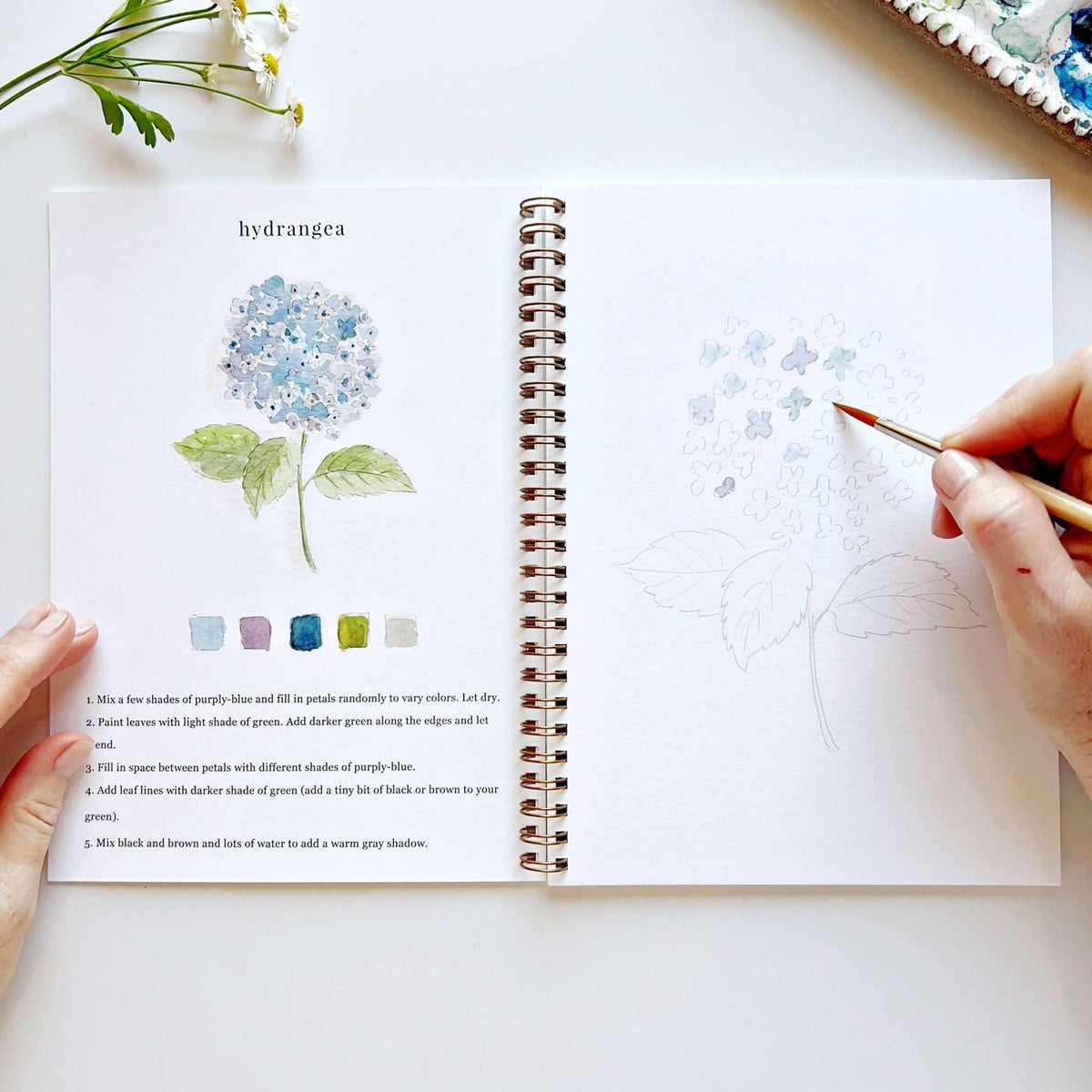 Flowers - Watercolor Book w/ Paints