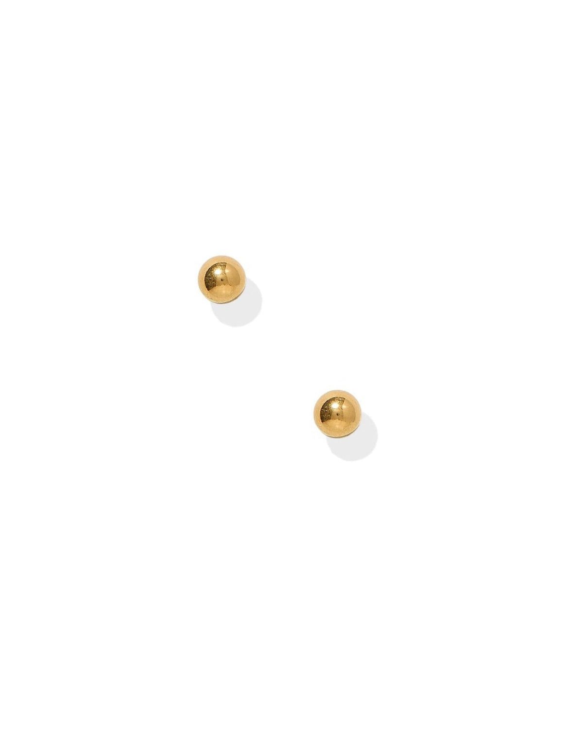 Screwback Stud Earrings - Evelyn Gold