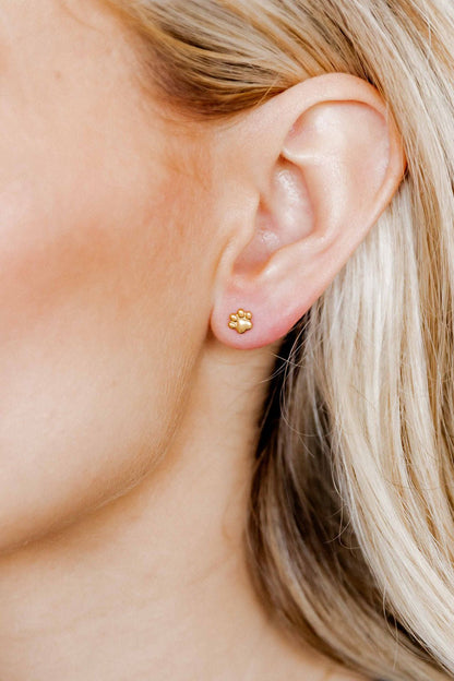 Screwback Stud Earrings - Paw Print Gold