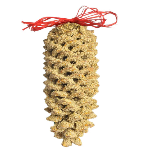 Giant Birdseed Pine Cone