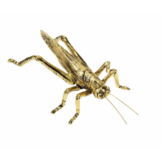 Grasshopper Gold
